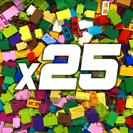LEGO "Just Bricks - Pack of 25" - 1 x 2 Bricks [3004] Assorted Colours