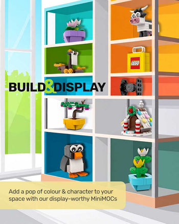 Build & Display