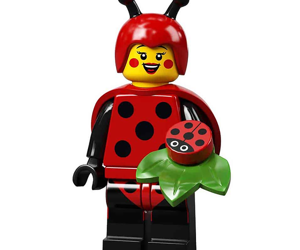 Spring Time – Dashbrick