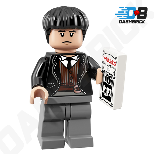 Minifigures Harry Fantastic Beasts Lego Characters LEGO Minifigure