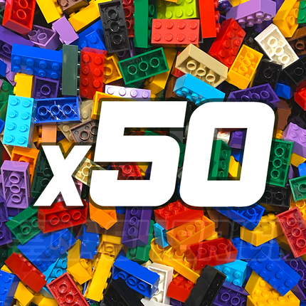 LEGO "Just Bricks - Pack of 50" - 2 x 4 Bricks [3001] Assorted Colours