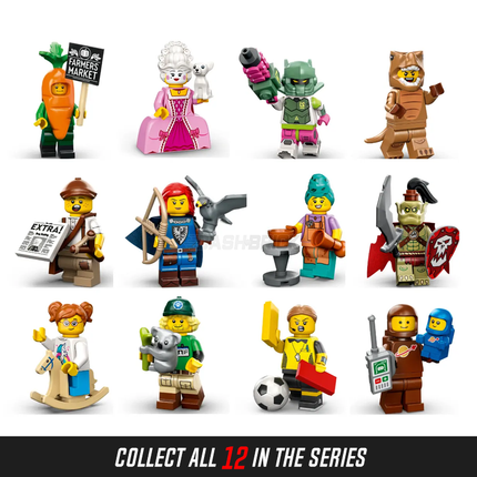 LEGO Collectable Minifigures - Conservationist, Koala (8 of 12) [Series 24]